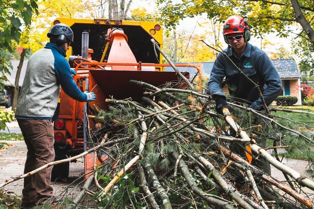 Michigan's Choice Tree Service Cascade, Michigan